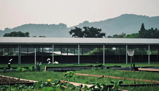 师资：在线课程选择中的关键因素分析